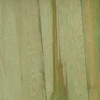 Pine